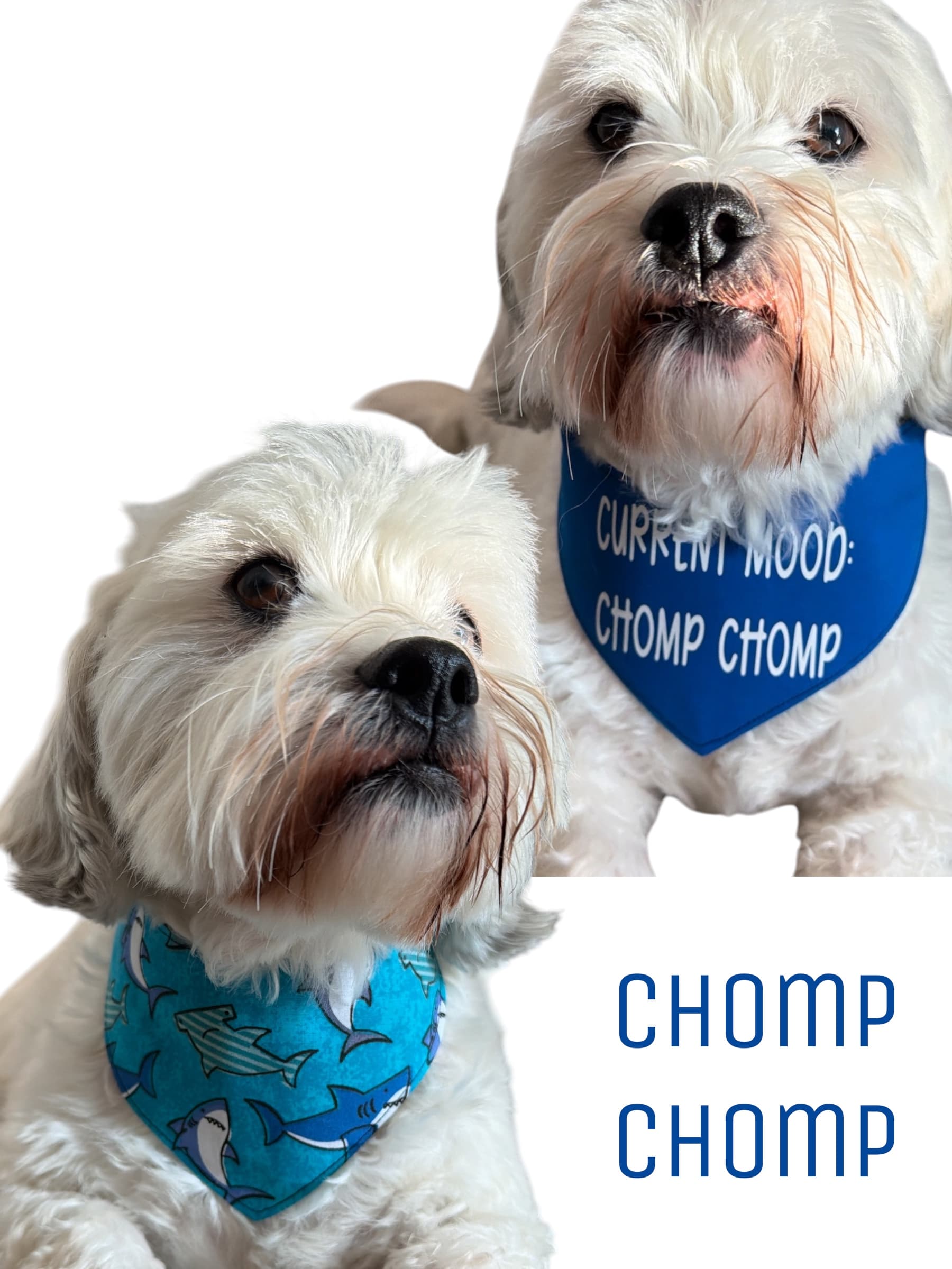 Chomp Chomp Dog Bandana gallery image