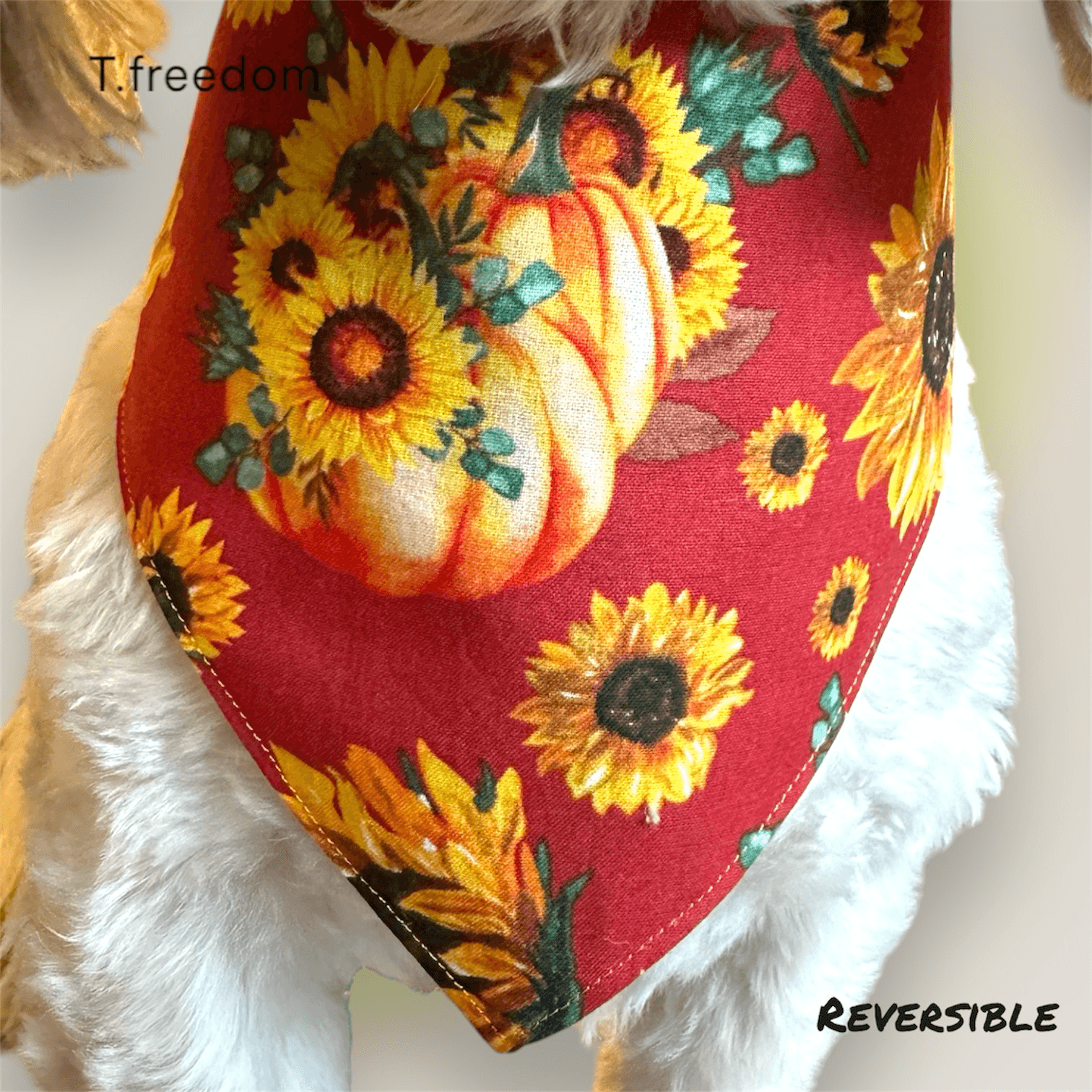 Chomp Chomp Dog Bandana gallery image